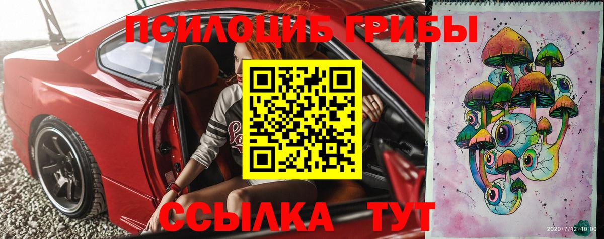 Псилоцибиновые грибы прущие грибы Калач-на-Дону